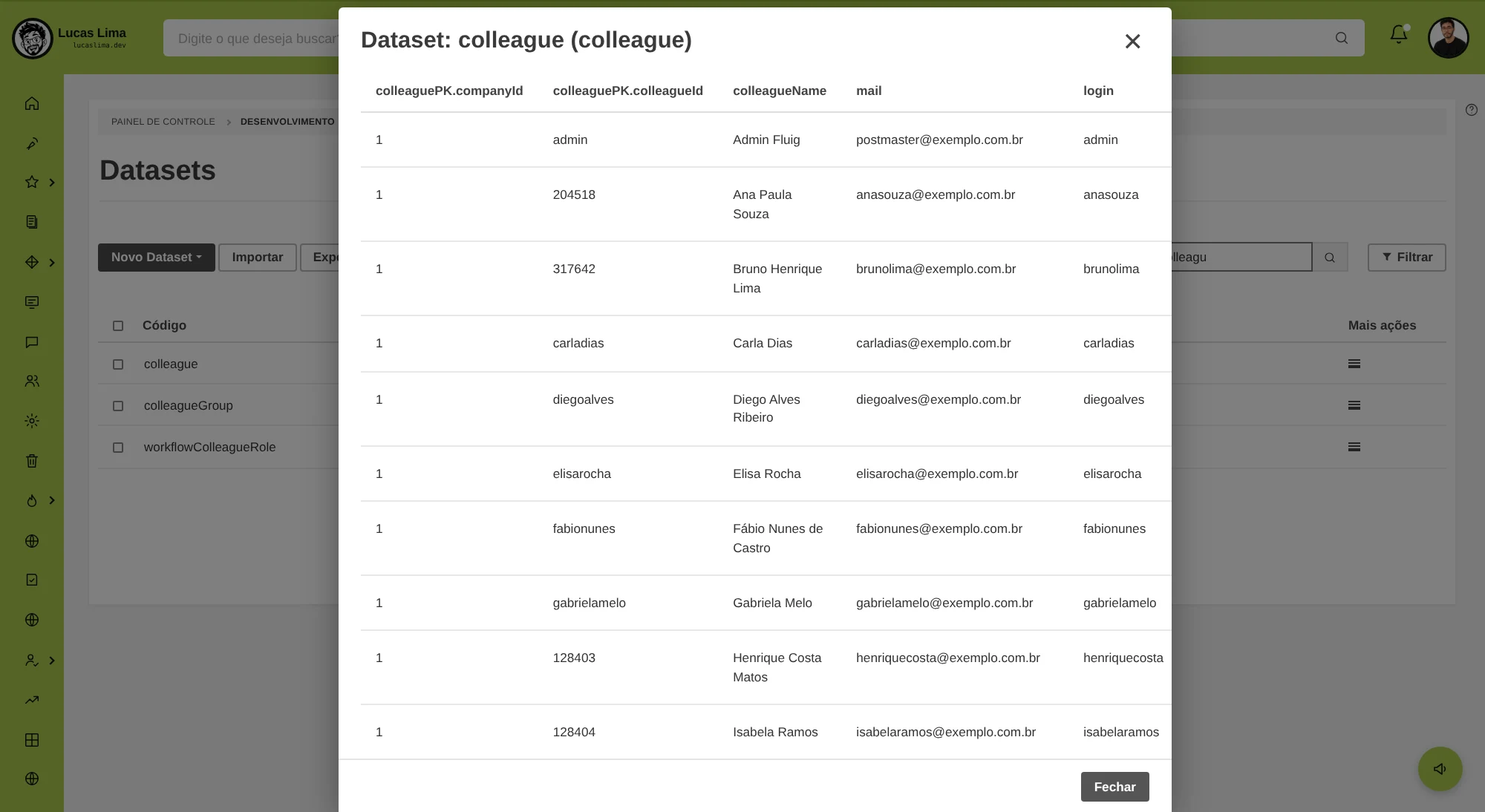 O dataset interno colleague aberto no painel, com uma linha por usuário (dados fictícios).